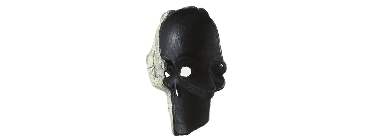 Halloween Skull Mask - Click Image to Close